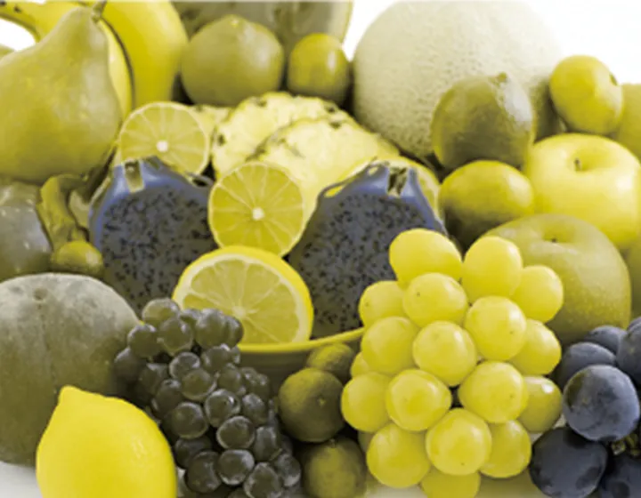 一型2色覚（Protanopia）